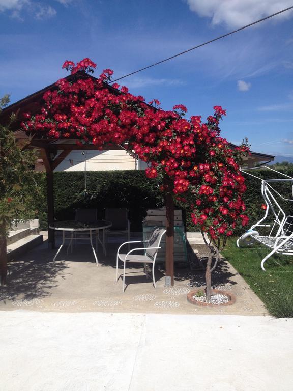 Bed and Breakfast La Quercia Козенца Экстерьер фото